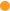 yellow-circul