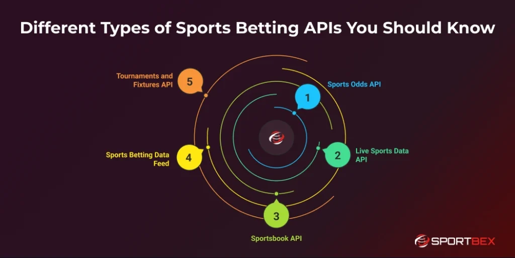 Different Types of Sports Betting APIs You Should Know