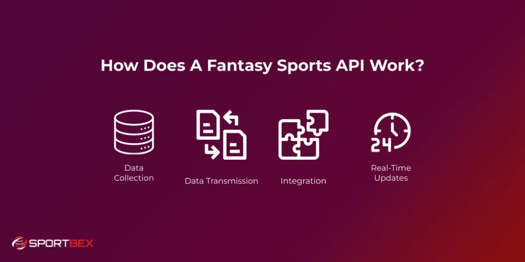 How Does a Fantasy Sports API Work?