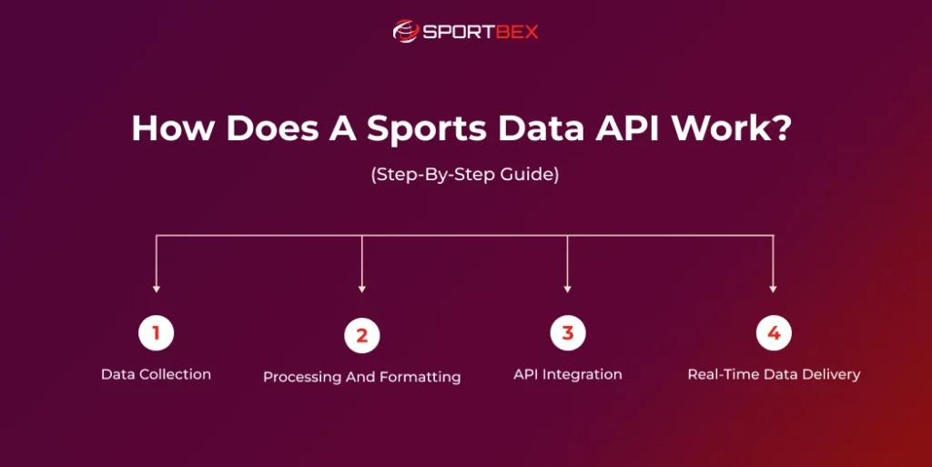 How Does a Sports Data API Work? (Step-by-Step Guide)