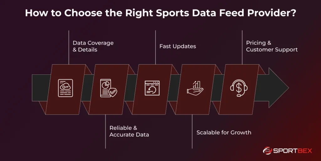 How to Choose the Right Sports Data Feed Provider