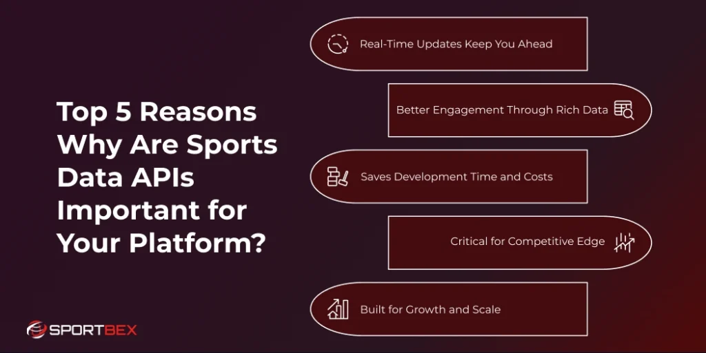 Top 5 Reasons Why Are Sports Data APIs Important for Your Platform