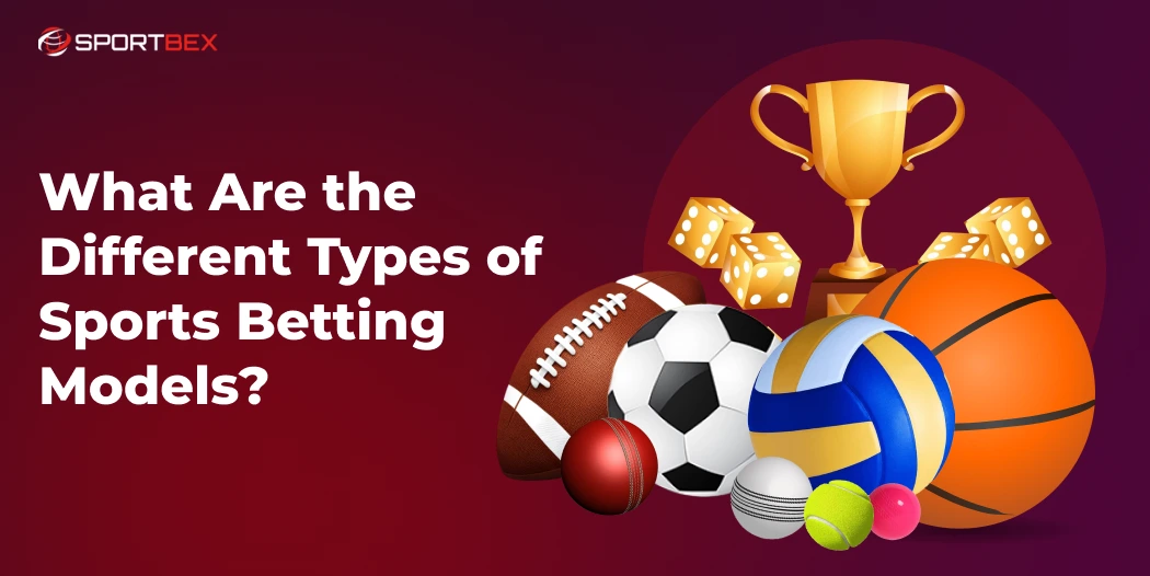 What Are the Different Types of Sports Betting Models?