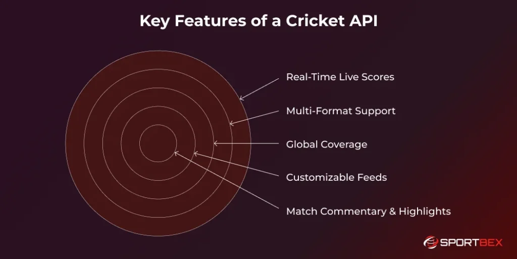 Key Features of a Cricket API