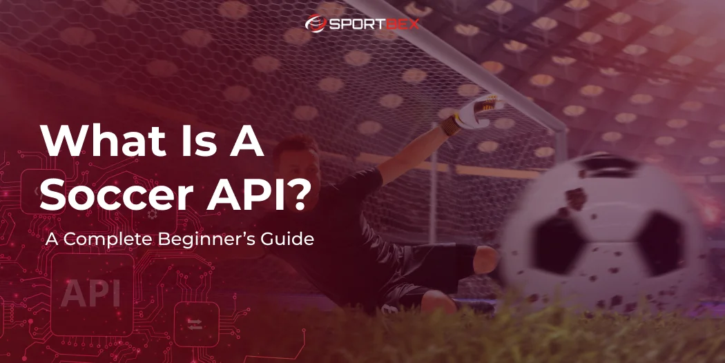 What Is a Soccer API_ A Complete Beginner’s Guide