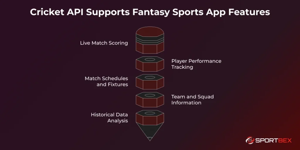 Cricket API Supports Fantasy Sports App Features