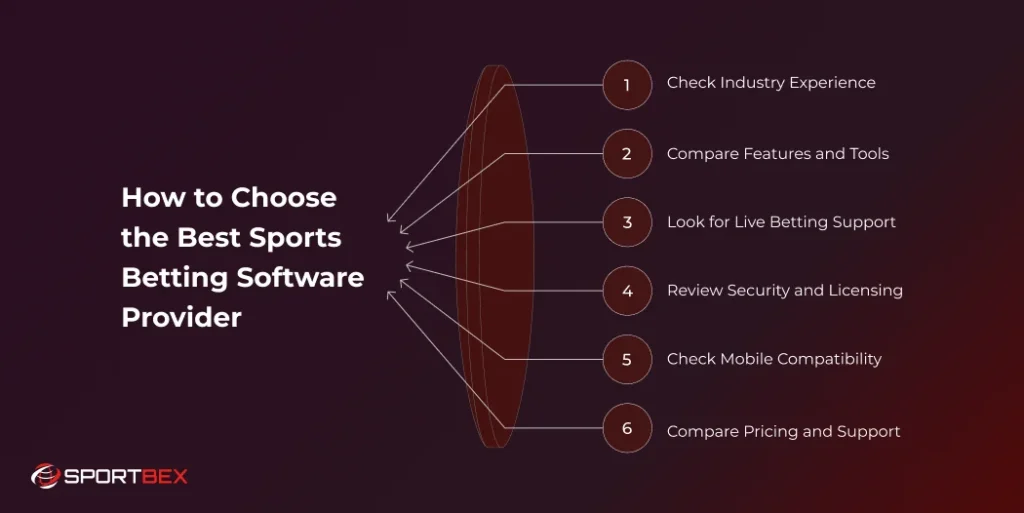 How to Choose the Best Sports Betting Software Provider