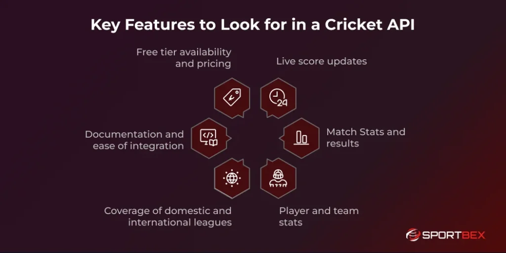 Key Features to Look for in a Cricket API