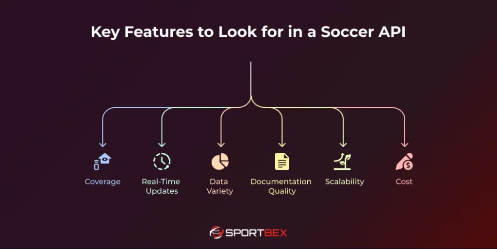 Key Features to Look for in a Soccer API
