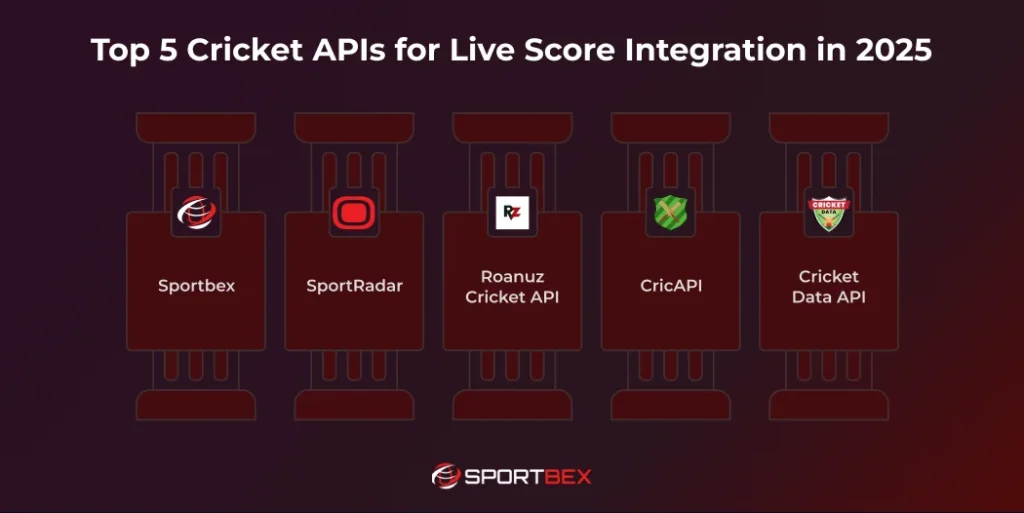 Top 5 Cricket APIs for Live Score Integration in 2025