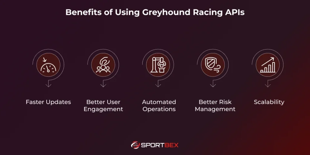 Benefits of Using Greyhound Racing APIs 1