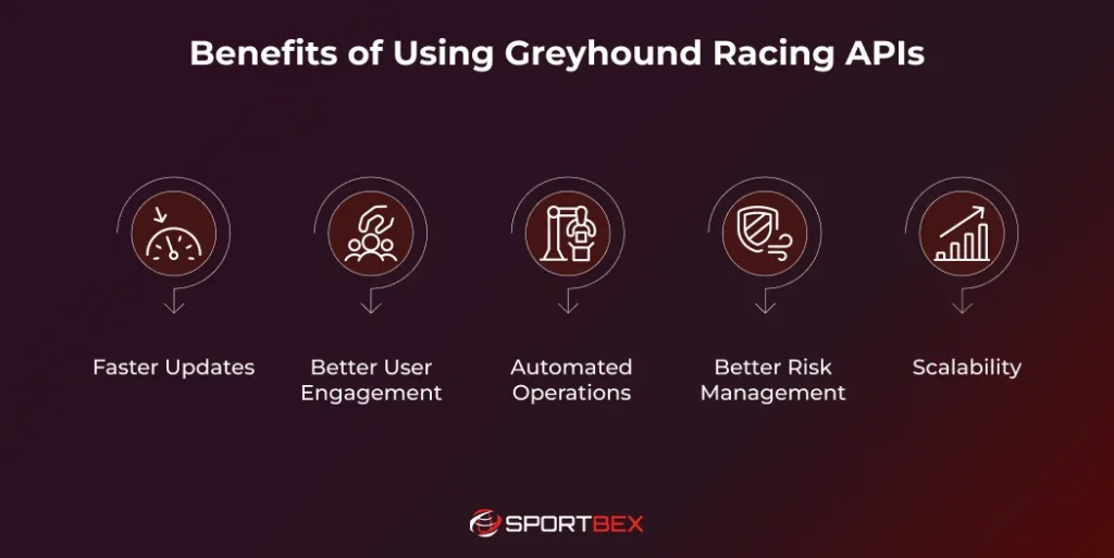 Benefits of Using Greyhound Racing APIs