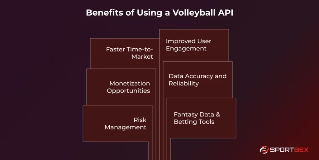 Benefits of Using a Volleyball API 1