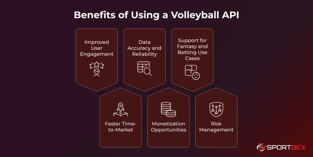 Benefits of Using a Volleyball API
