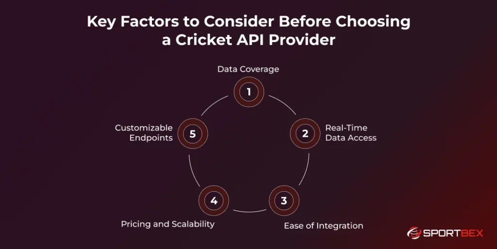 Key Factors to Consider Before Choosing a Cricket API Provider 1