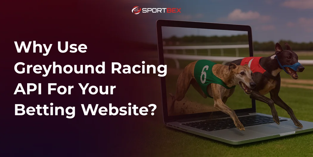 Why Use Greyhound Racing API for Your Betting Website_