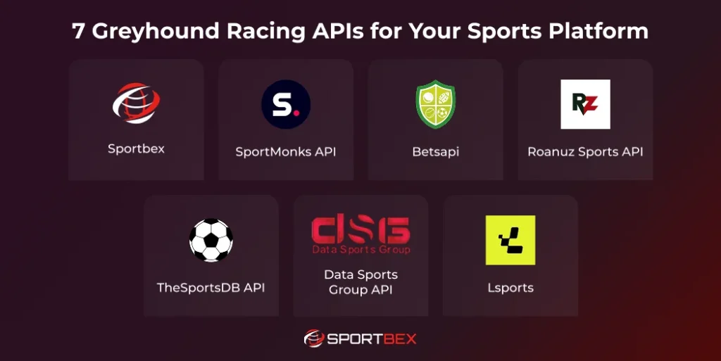 7 Greyhound Racing APIs for Your Sports Platform