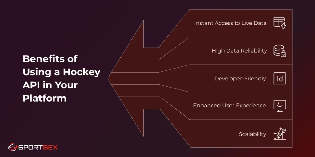 Benefits of Using a Hockey API in Your Platform 1