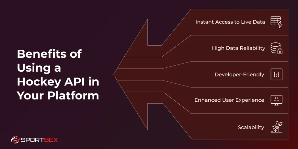 Benefits of Using a Hockey API in Your Platform