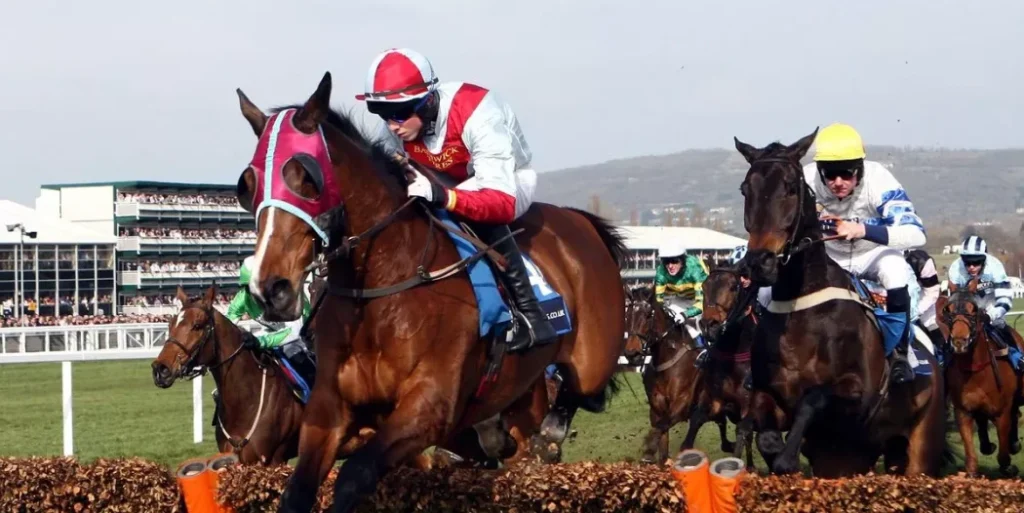 Cheltenham National Hunt Festival UK