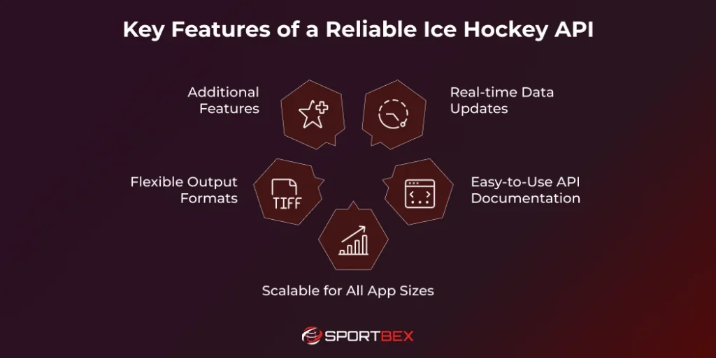 Key Features of a Reliable Ice Hockey API