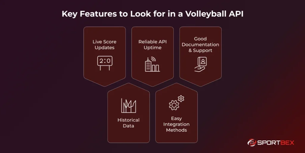 Key Features to Look for in a Volleyball API 1