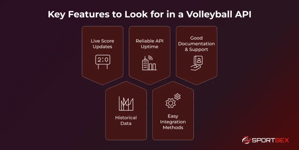 Key Features to Look for in a Volleyball API