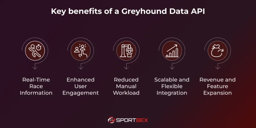 Key benefits of a Greyhound Data API