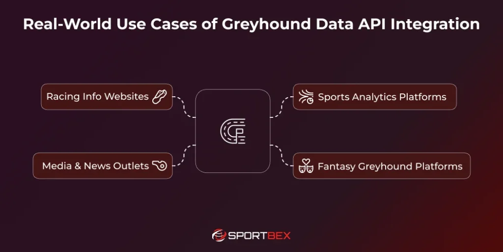 Real-World Use Cases of Greyhound Data API Integration