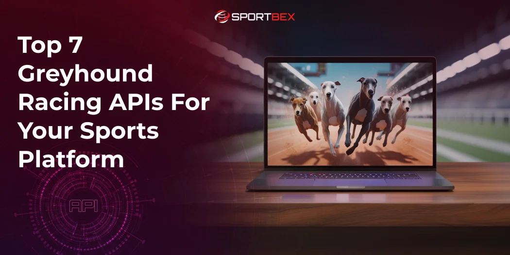Top 7 Greyhound Racing APIs for Your Sports Platform