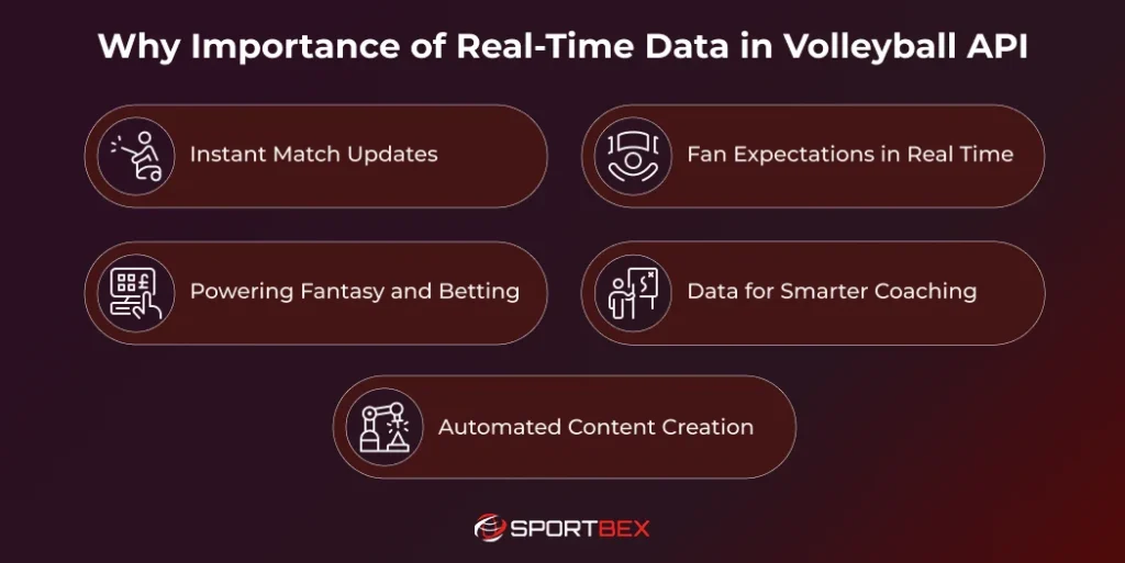 Why Importance of Real-Time Data in Volleyball API