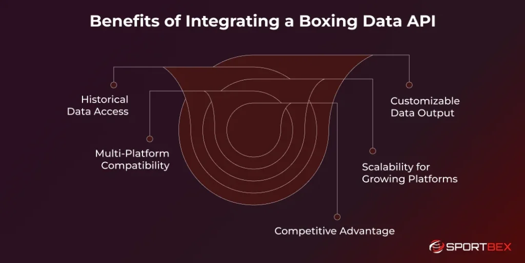 Benefits of Integrating a Boxing Data API