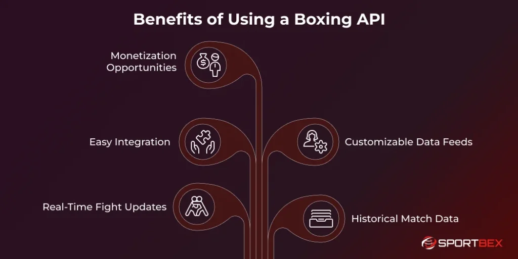 Benefits of Using a Boxing API