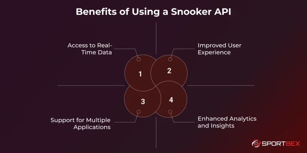 Benefits of Using a Snooker API
