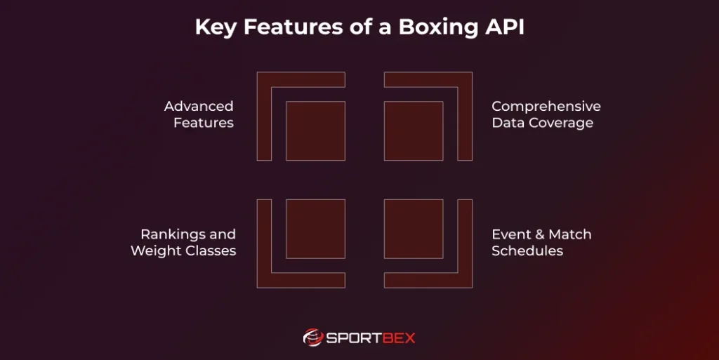 Key Features of a Boxing API