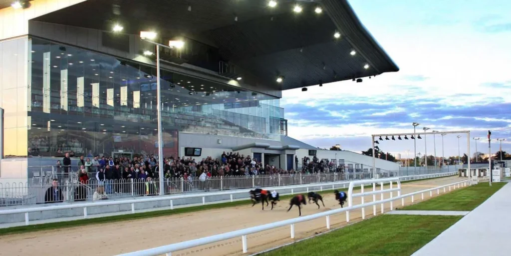 Limerick Greyhound Stadium Ireland
