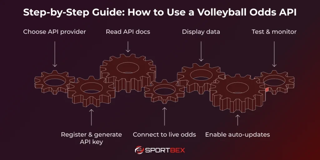 Step by Step Guide How to Use a Volleyball Odds API
