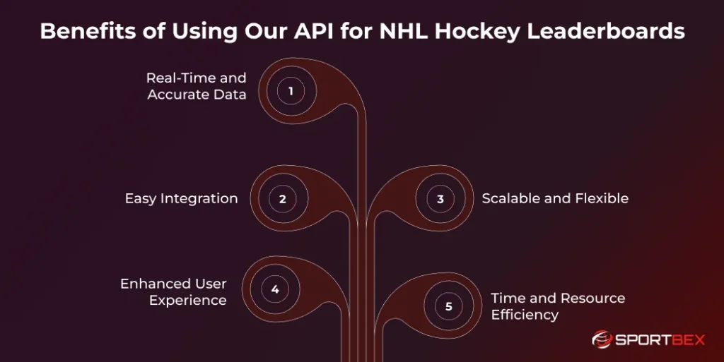 Benefits of Using Our API for NHL Hockey Leaderboards