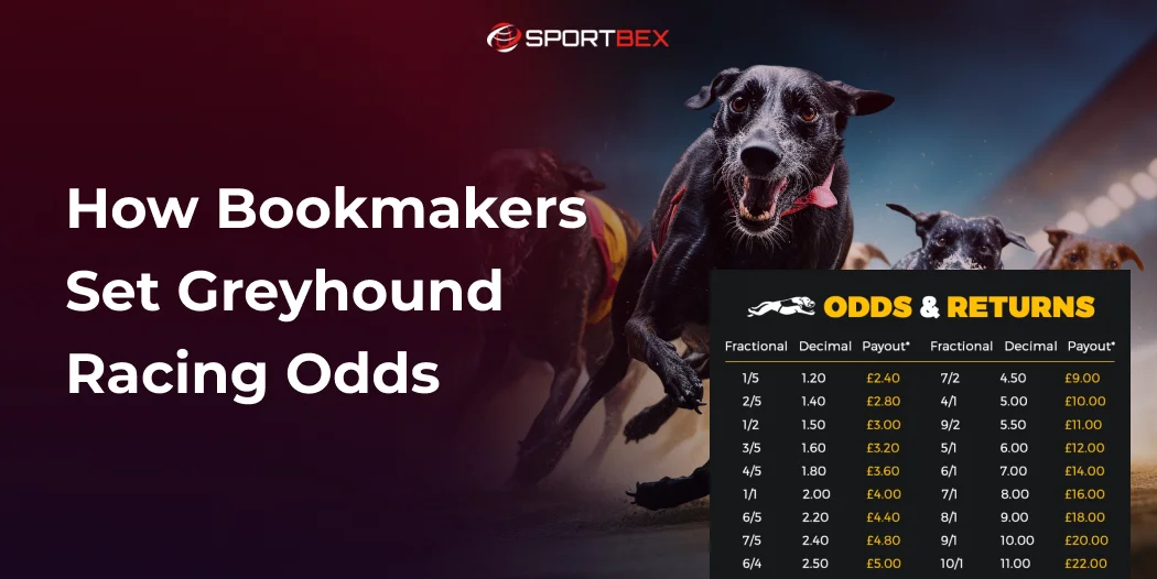 How Bookmakers Set Greyhound Racing Odds