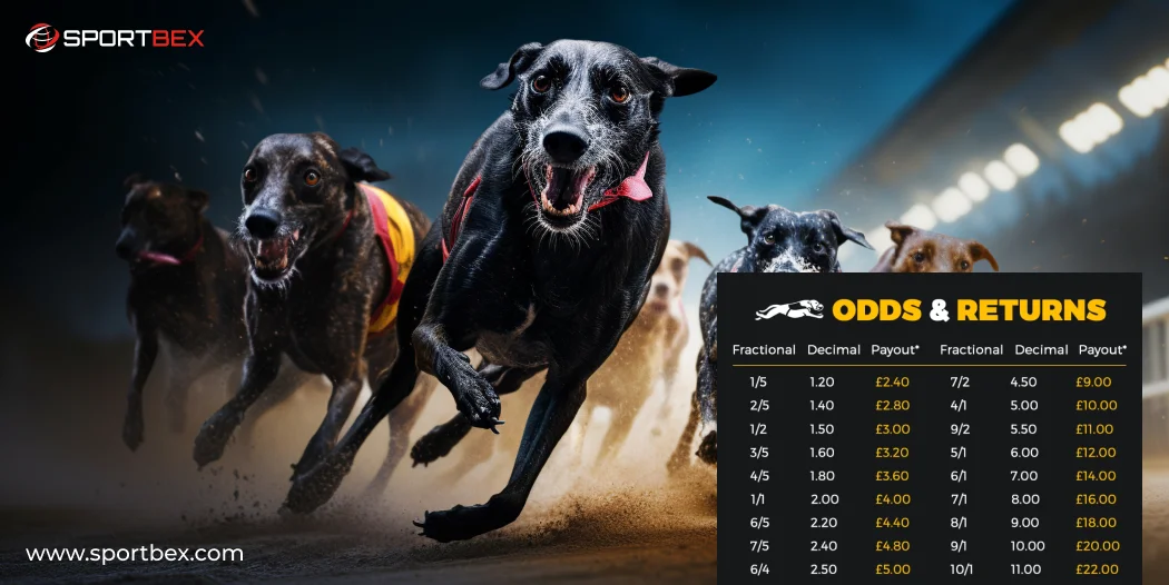How Bookmakers Sets Greyhound Racing Odds