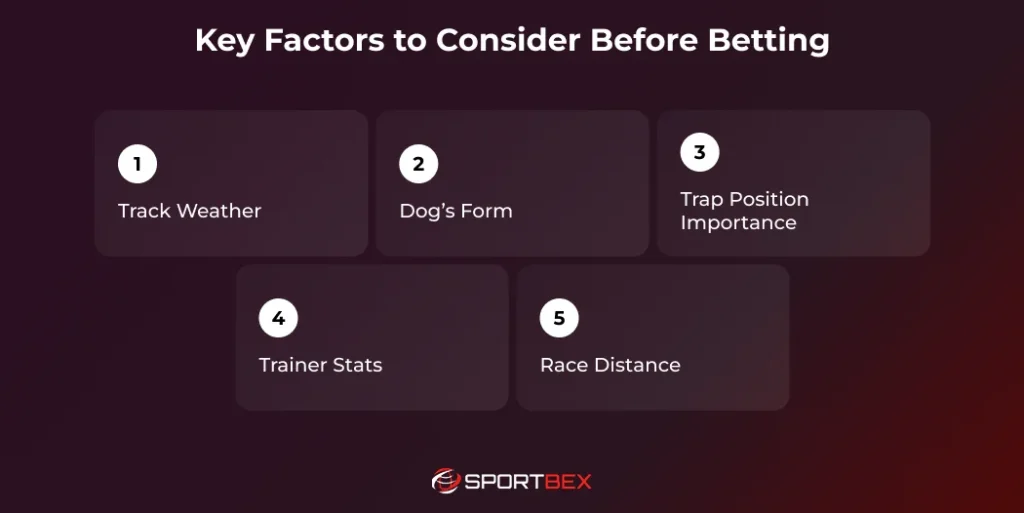 Key Factors to Consider Before Betting