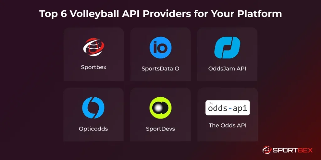 Top 6 Volleyball API Providers for Your Platform
