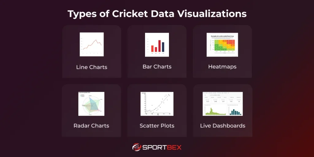 Types of Cricket Data Visualizations