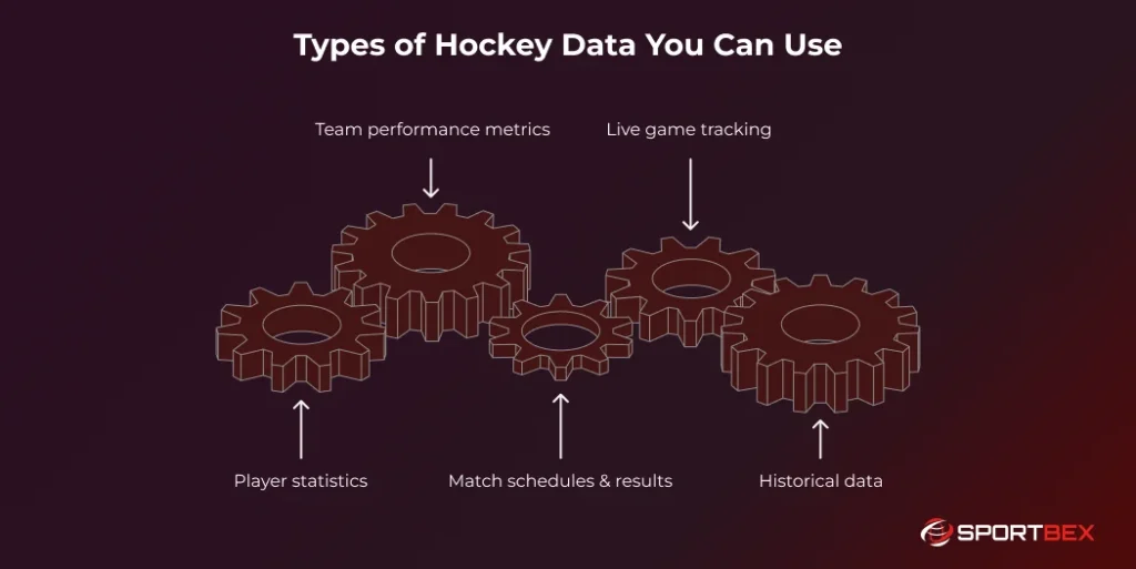 Types of Hockey Data You Can Use