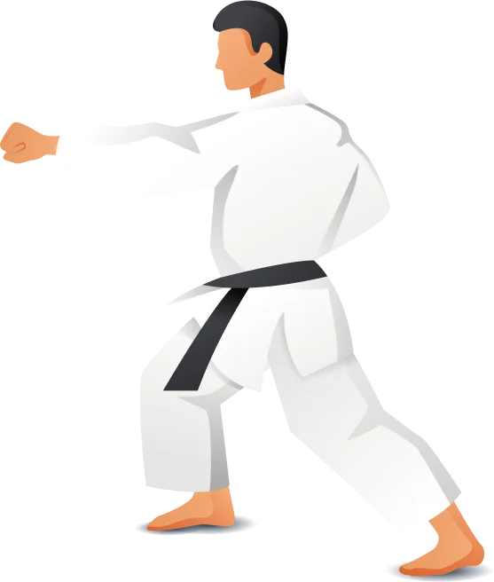mixed-martial-arts-api-about