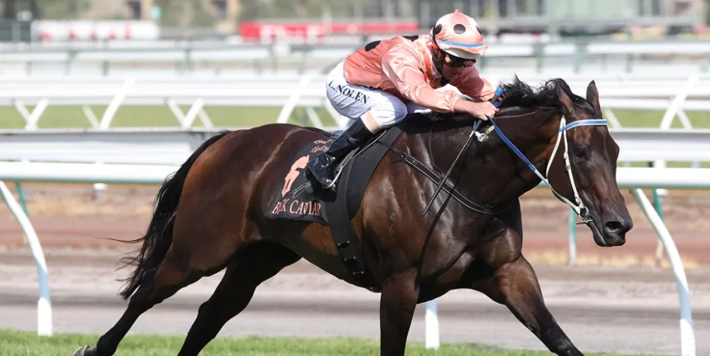 Black Caviar