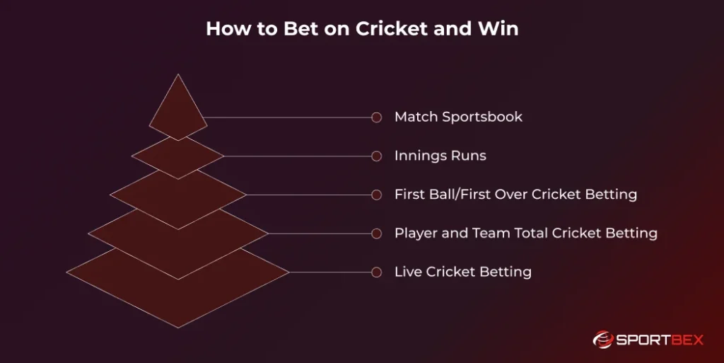 How to Bet on Cricket and Win