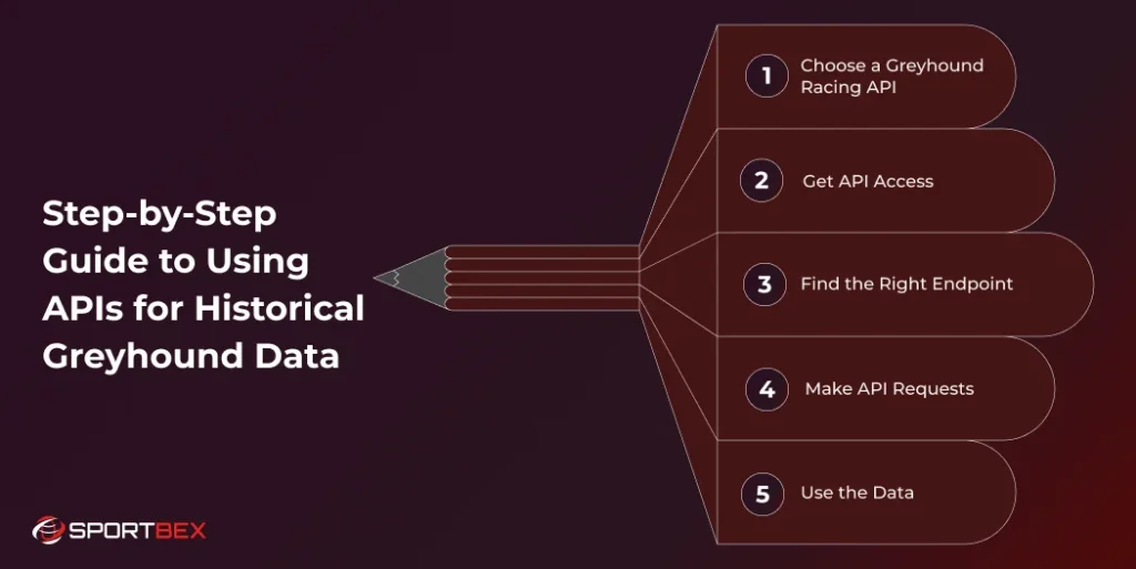 Step by Step Guide to Using APIs for Historical Greyhound Data