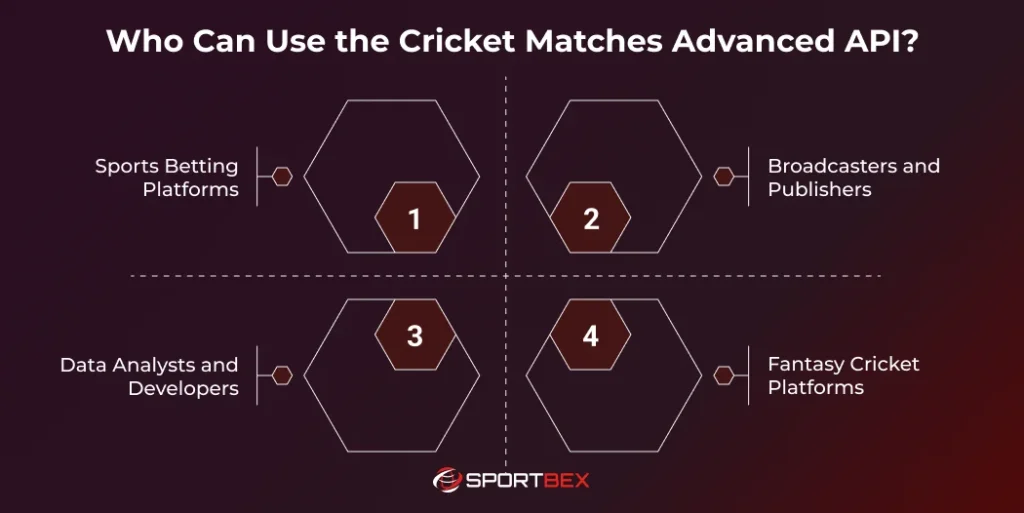 Who Can Use the Cricket Matches Advanced API