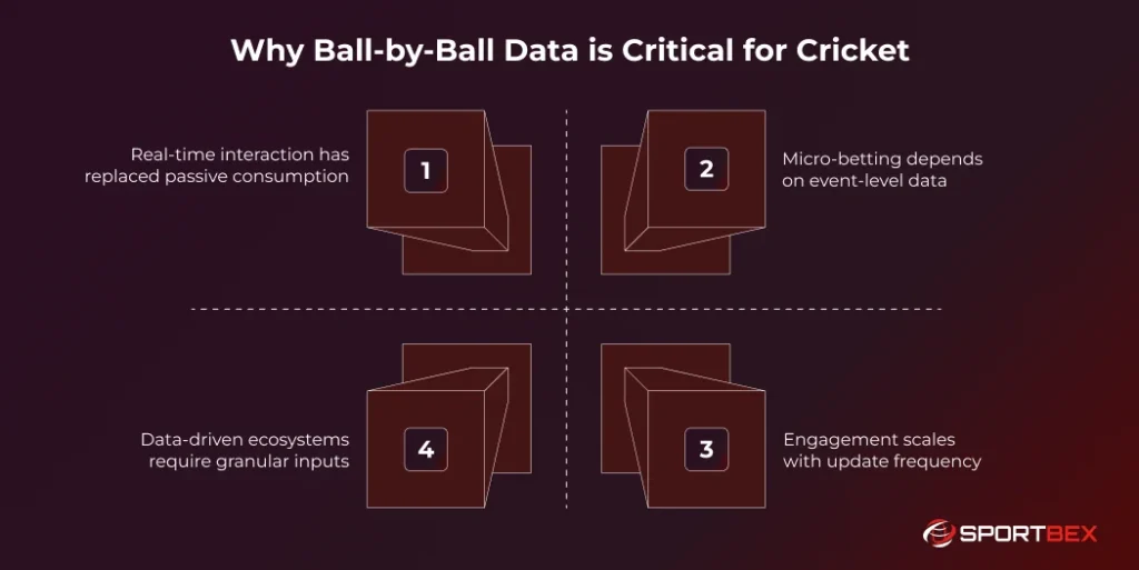 Why Ball by Ball Data is Critical for Cricket